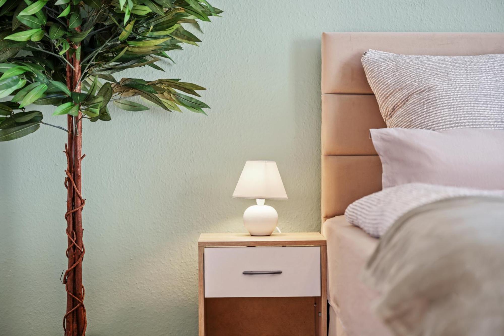 Neu Meissen Altstadt Familyoase Wlan Netflix Magenta Disney Esterno foto